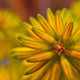 Illustration for article titled 264 Stupendous Spring Wallpapers